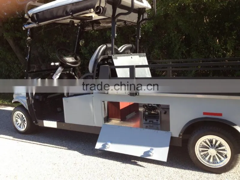 Cruise Car Brand 2P Electric American Utility Vehicle with 4'x6' Cargo Bed