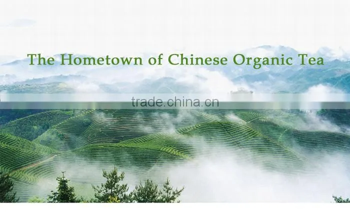 Hot selling 2015 jasmine tea chinese tea