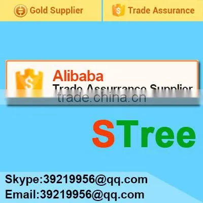 Shenzhen Zhongzhi Network Tech Co., Ltd. company overview - view 2