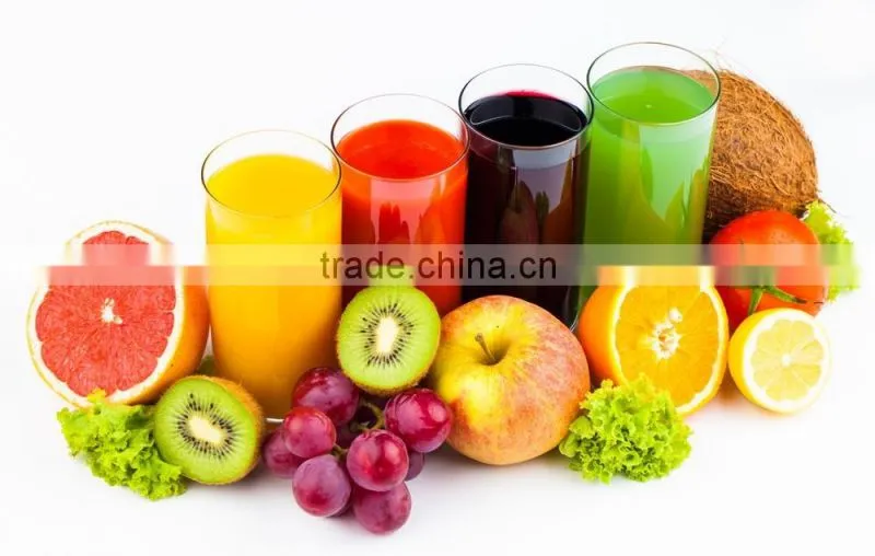 2016 New Slow Juicer wide mouth slow juicer