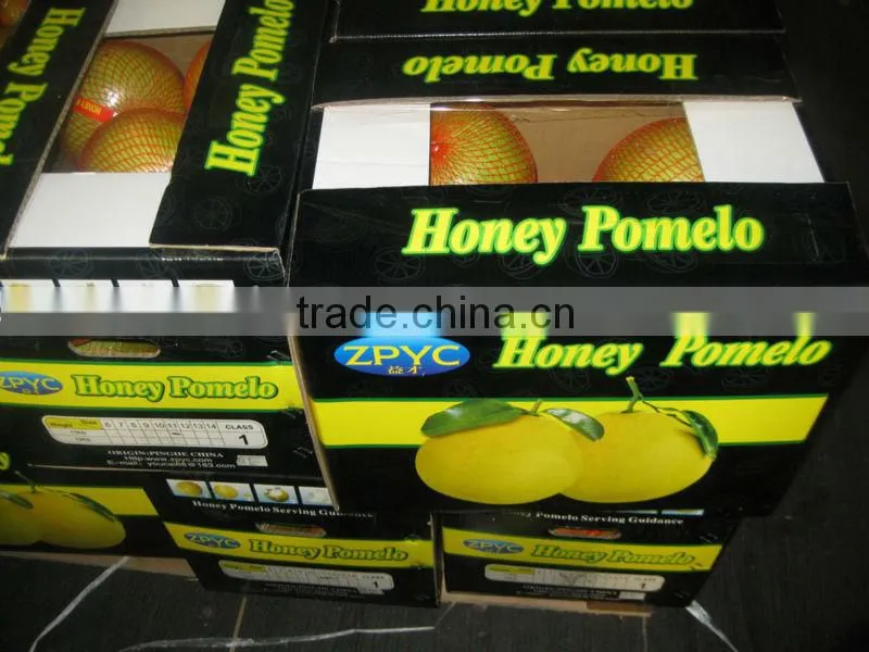 new crop pomelo