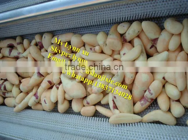 potato ginger washing peeling machine /ginger peeling cleaning machine