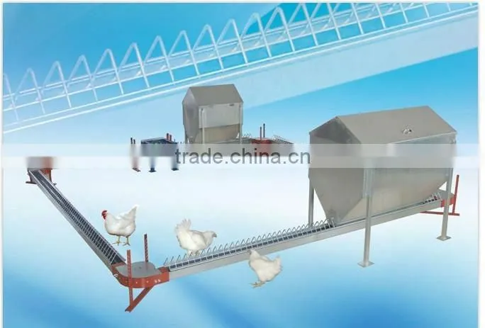 automatic chain style feeder conveyor system for breeder