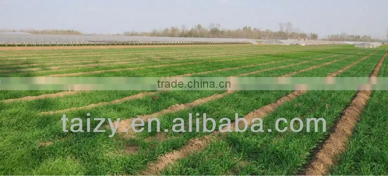 wheat seed drill Disc wheat seeder