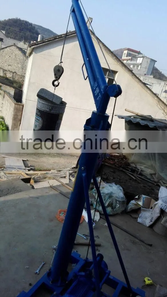 small electric motor hoist crane/ 300KG portable mini crane for sale 220V