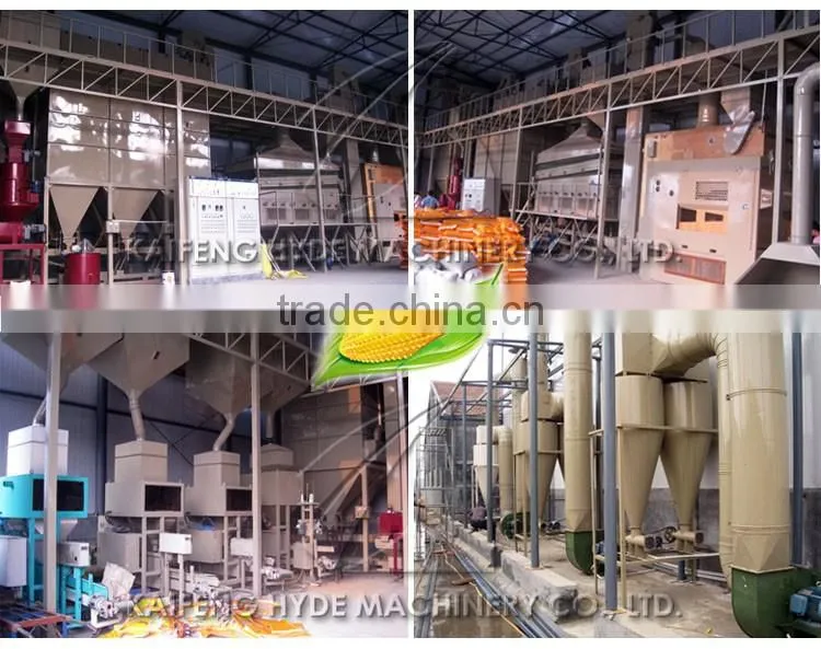 10T Maize seed turnkey processing plant for Seed company