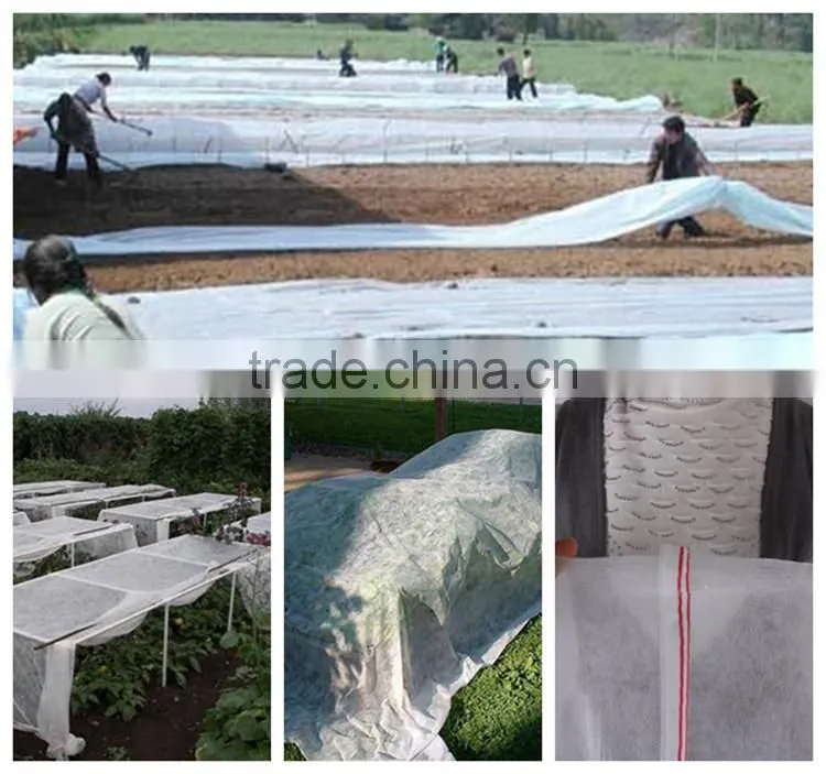 Eco-friendly and Good Elongation Fabric Agricultural Ground Cover