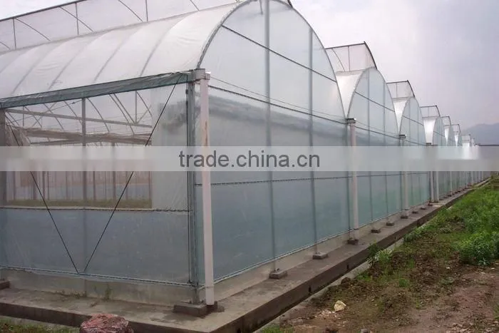 100% virgin PE with anti-uv ldpe agricultural film/agricultural mulching film/co-extrusion ldpe greenhouse film