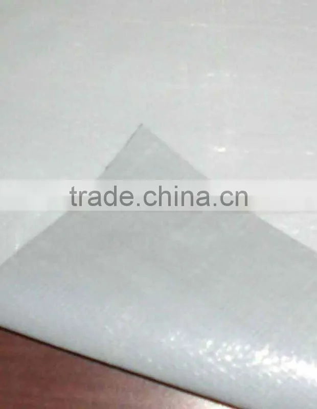 Wholesale PP/PE woven fabric roll