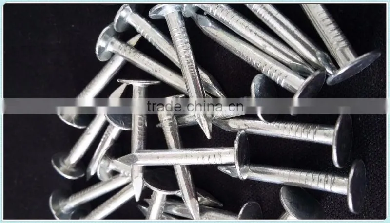 coil roofing,factory direct sale nails