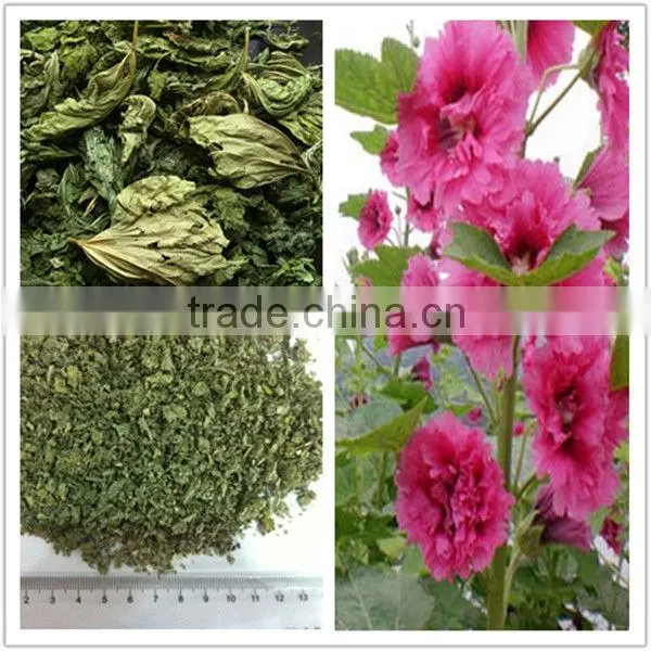 2013 Fresh Dried Marshmallow Leaf