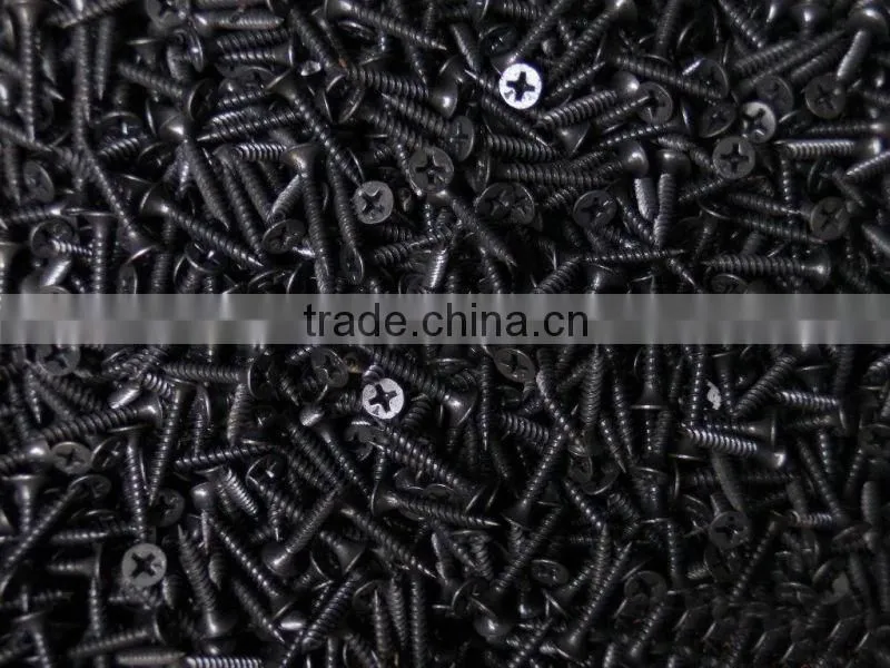 China manufacturers Provided bugle head collated drywall screw