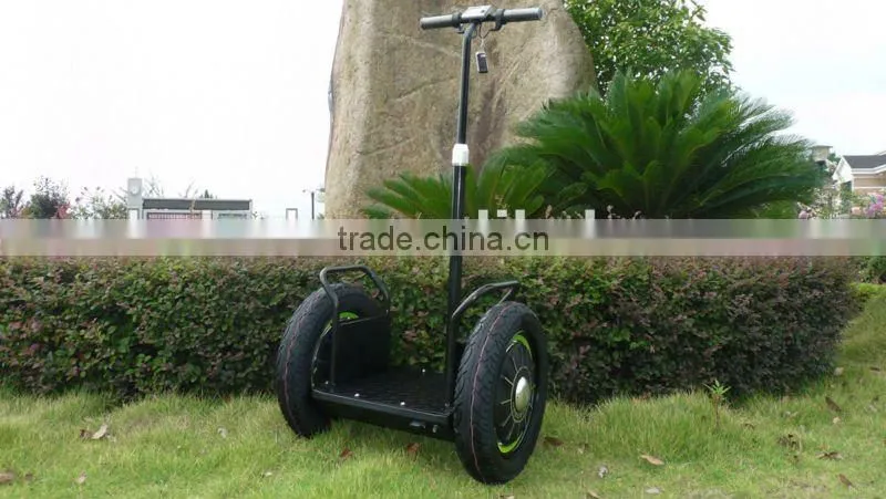 2013 new model with remote controller Zero-emission electric chariot(SKD-SG01,SKD-SG02)