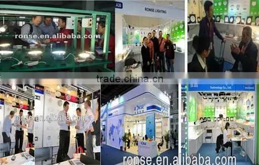 Ronse high brightness led ceiling light fixture for living room(RS-2041(A))