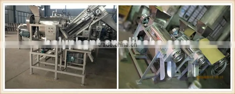 wide output range full stainless steel peach extractor machine