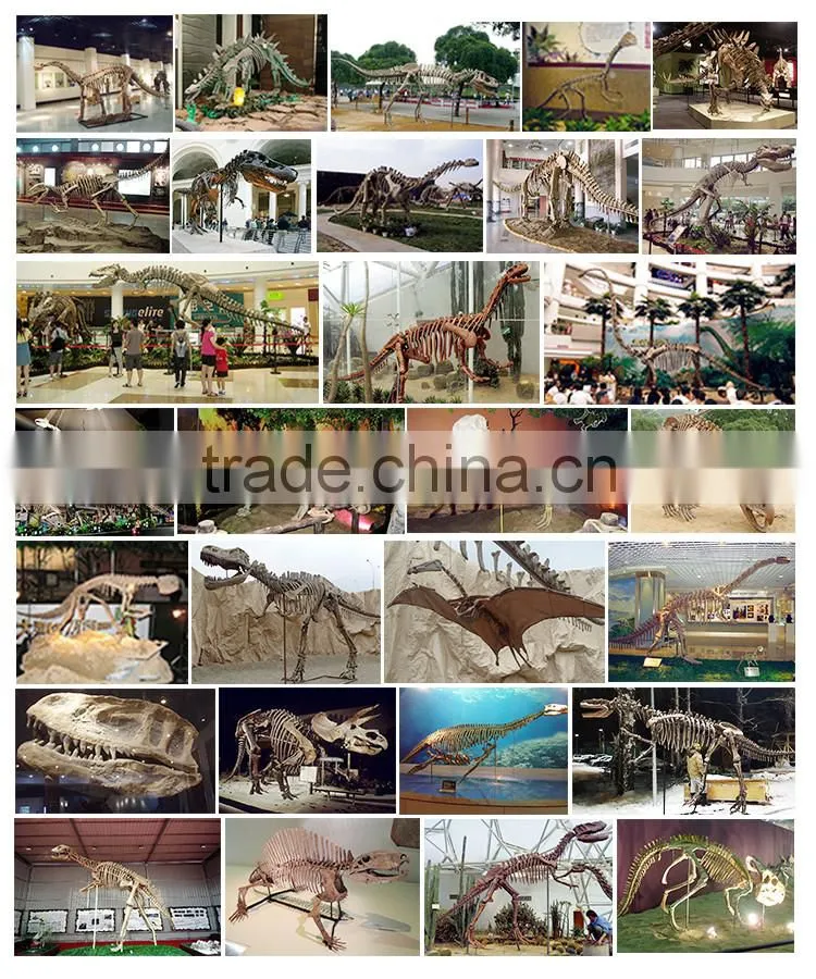 OA-DS-16051301 Replicated Dinosaur Fossils