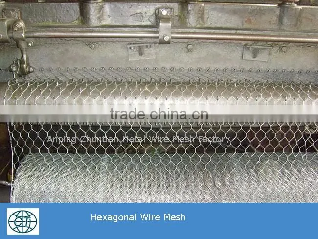 The Lowest price galvanized wire Chicken Wire Mesh
