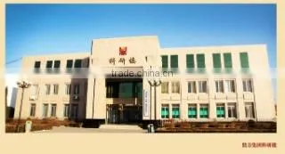 Shandong Ding Li Date Food Group Co., Ltd. company overview - view 2