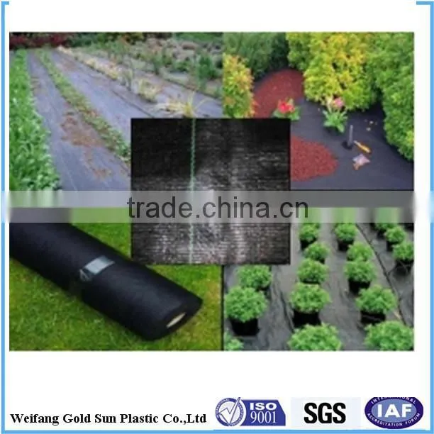 PP WOVEN GROUND COVER/WEED BARRIER/NEEDLE PUNCHED FABRIC/PP WOVEN GEOTEXTILES