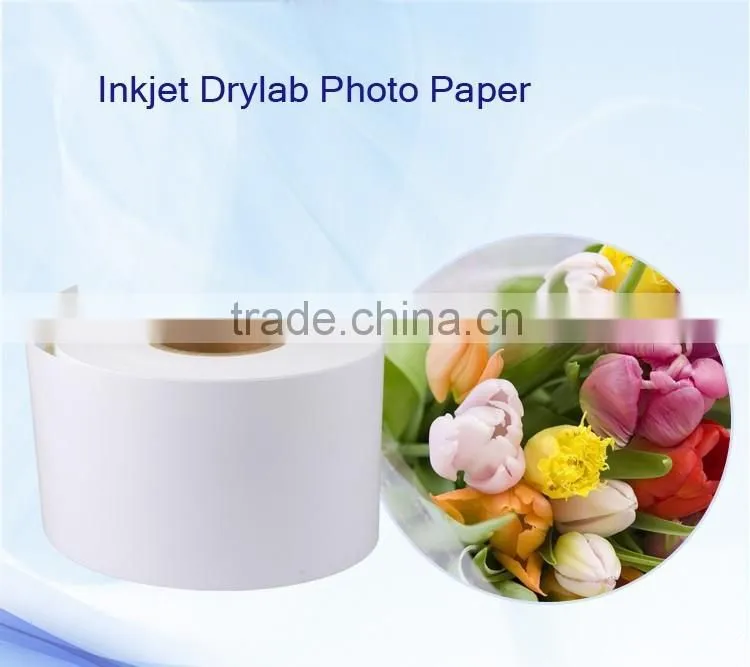 RC Roll Paper waterproof,6"x100m for Epson D3000