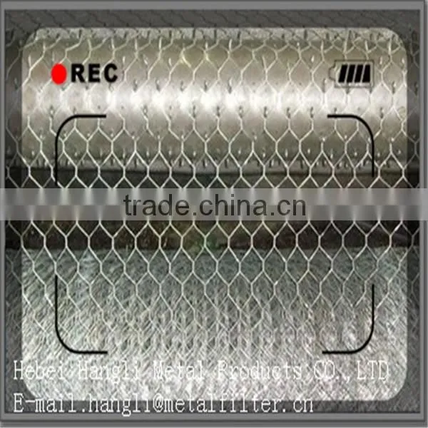 2015hot sale china supplier low price Stainless Steel Hexagonal Wire Netting
