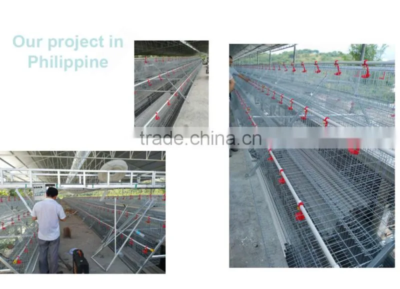 Chicken plastic slat floor/poultry farm flooring