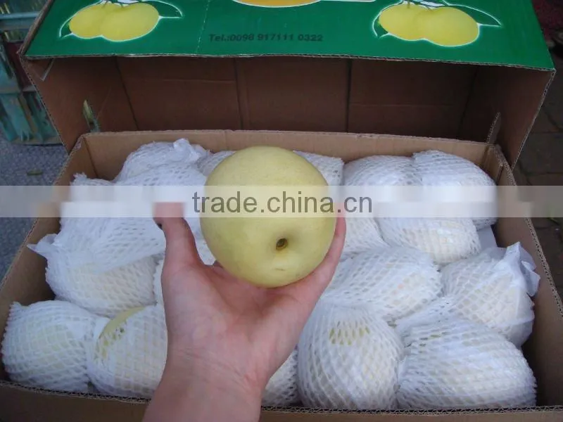 Nice difference specification of crown pear in china