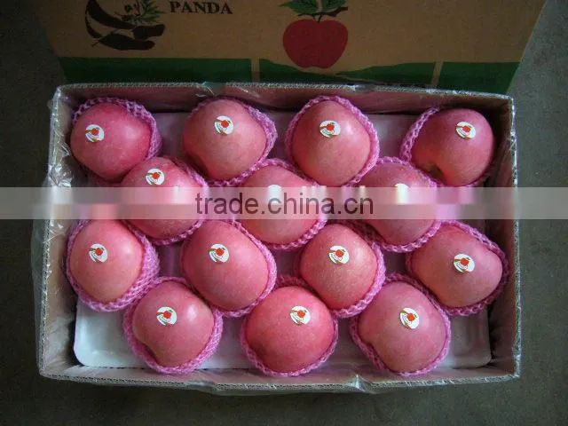 Fresh Fruit Fuji Apple