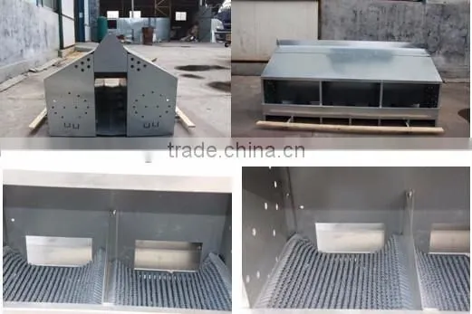 Breeder automatic feeding system
