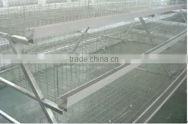 Automatic chicken cage