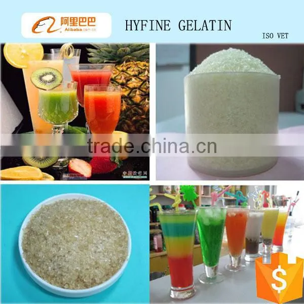 gelatin scrap