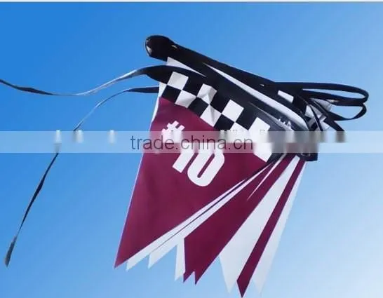 Plastic Multi Colored Small Pennant Flags Bunting For Christmas