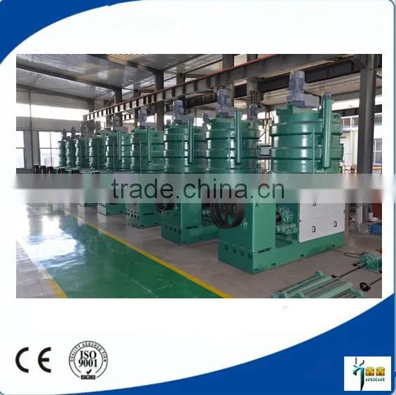 Palm Kernel Screw Oil Press Plant