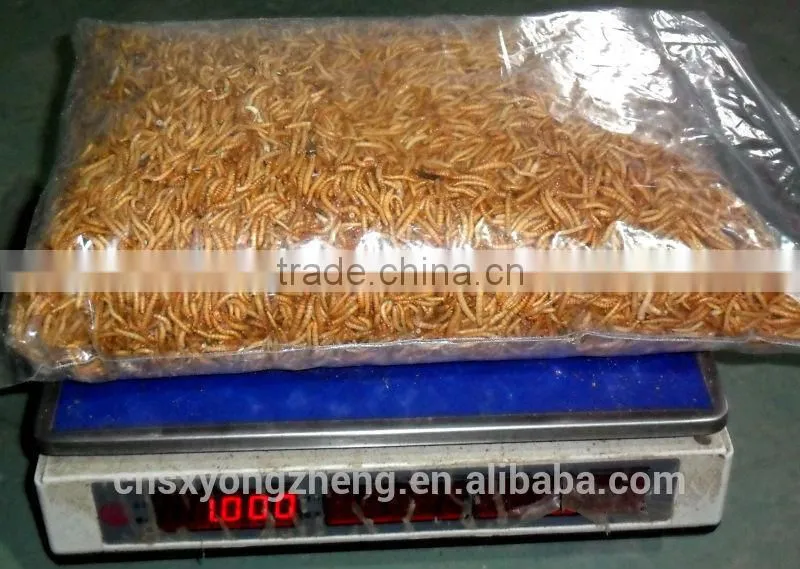 Bird Foods 2.5--2.8 cm Microwave Dried Yellow Mealworms