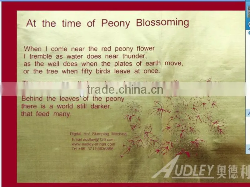 China NO.1 digital hot foil printer for the printing bag -ADL3050A