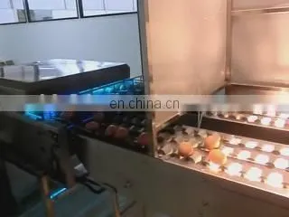 Factory Professional Selling Full-function Hen egg/Duck egg/Salted duck egg washing machine