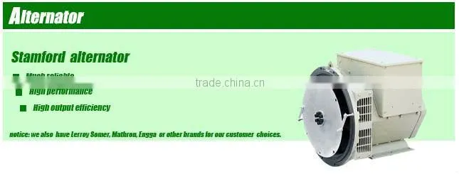 10kw Generator Powered by Weifang 2100D