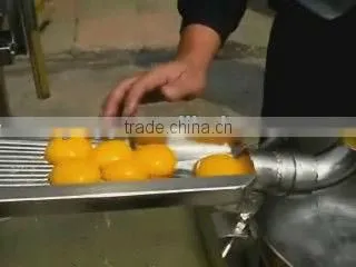 ZENYER 3000pcs/h stainless egg breaker machine