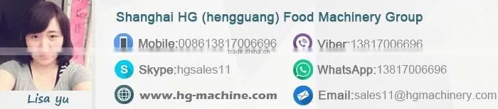 HG 2016 hot selling food machine full automatic french fries machine