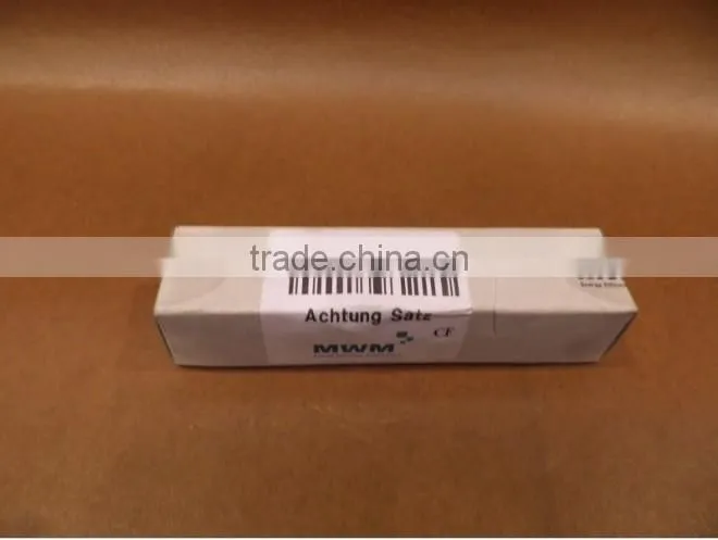 MWM Sealing Ring TCG 2032