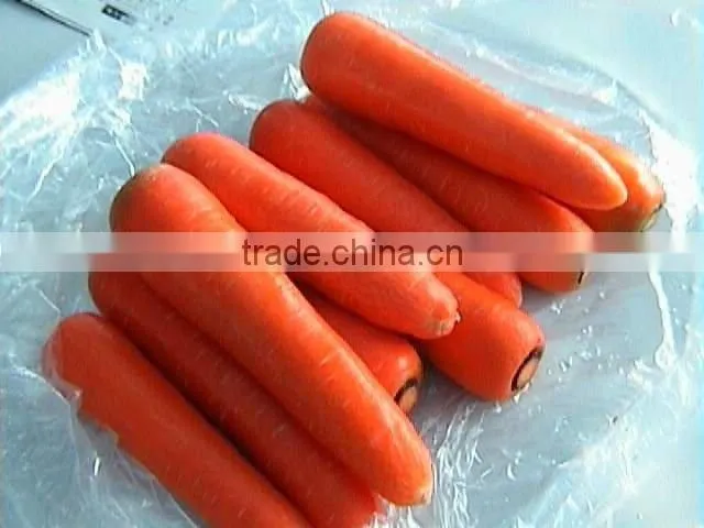 carrot harvester