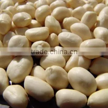 China Produce Authority Certification ISO9001 CE Blanched Peanut Kernels
