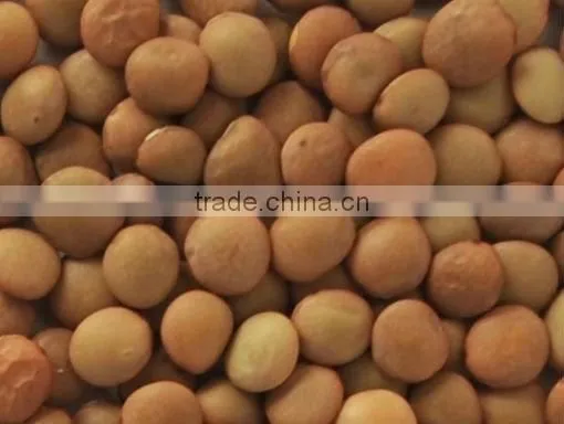 Lentil Color Sorter With Best Price