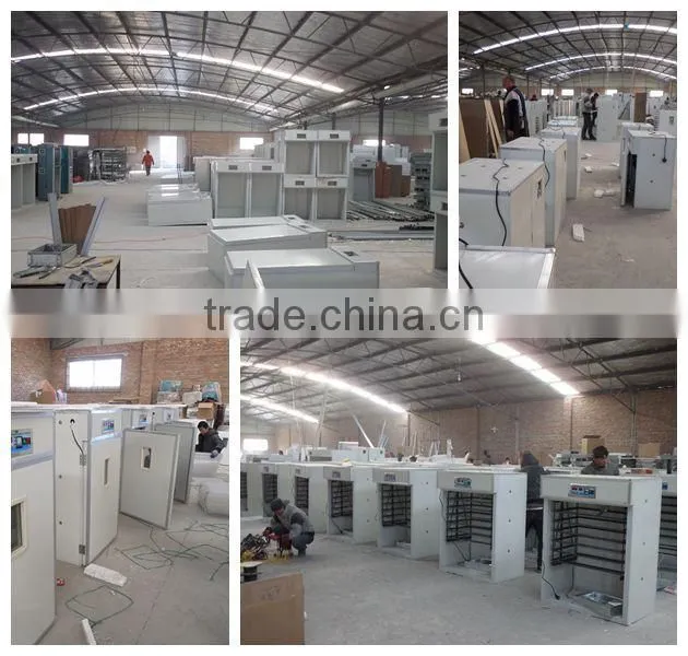 automatic chicken egg incubator for 1000 eggs high quality