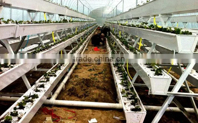 Hydroponic gutter with food grade