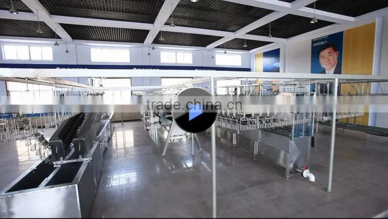 Bostar Brand Poultry Application Poultry Slaughtering Processing Plant Equipment