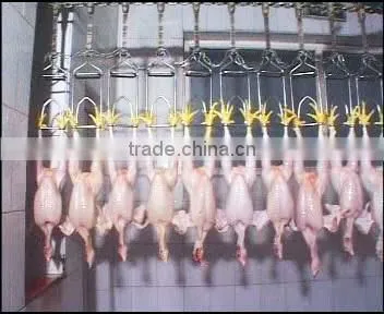 High Efficiency 500kg/h Stainless Steel Poultry Defeathering Machine