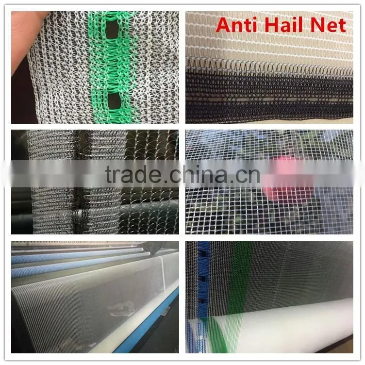 Sun Shade Net 50%-70%