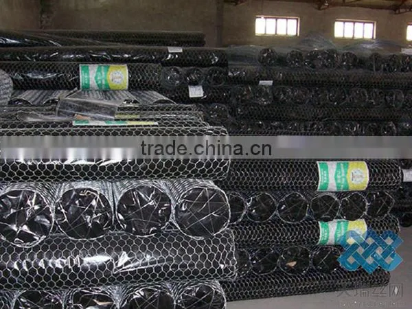 PVC coated galvanized Hexagonal Wire Netting /hexagonal wire mesh