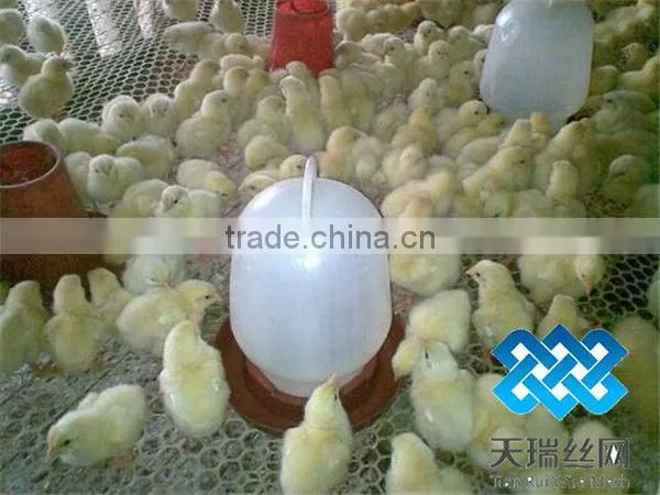 flat plastic mesh/ chicken wire mesh/pigeons cages/